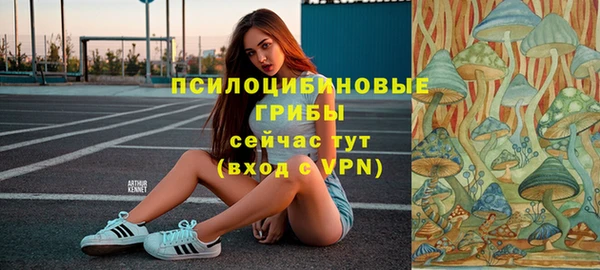 ПСИЛОЦИБИНОВЫЕ ГРИБЫ Алзамай
