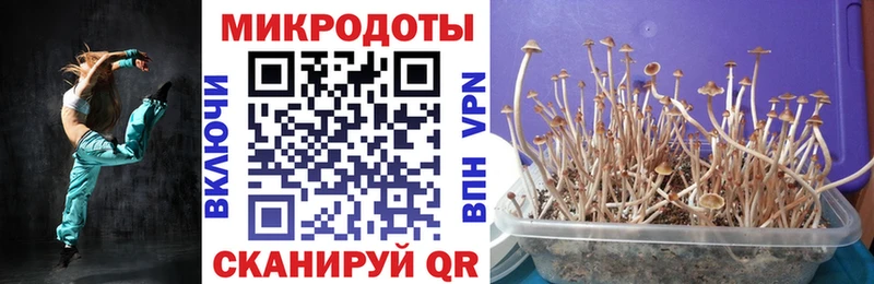 Галлюциногенные грибы Psilocybine cubensis  Барыш 